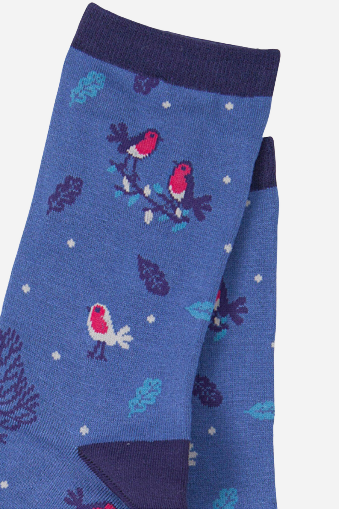 close up of the red robin bird and leaf pattern