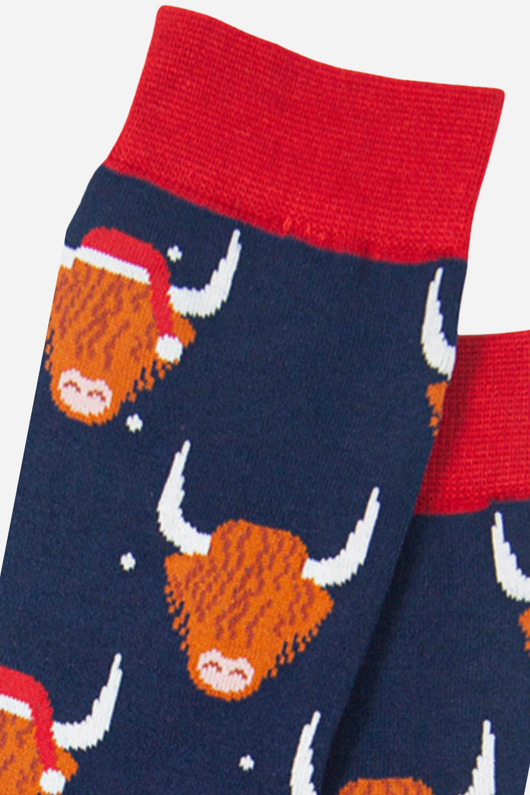 close up of the highland cows wearing santa hats