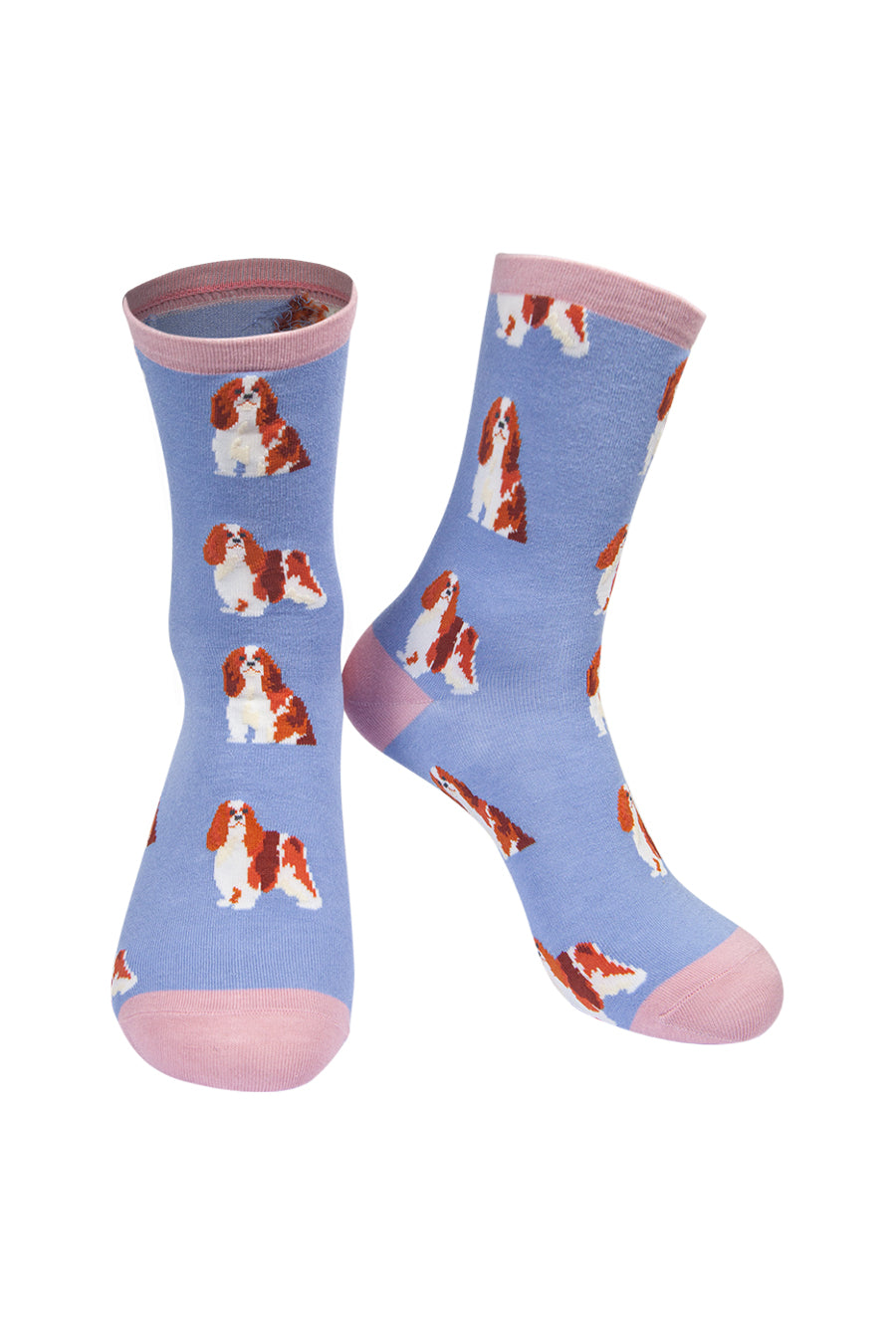 Womens Bamboo Dog Socks Cavalier King Charles Spaniel Gift Box