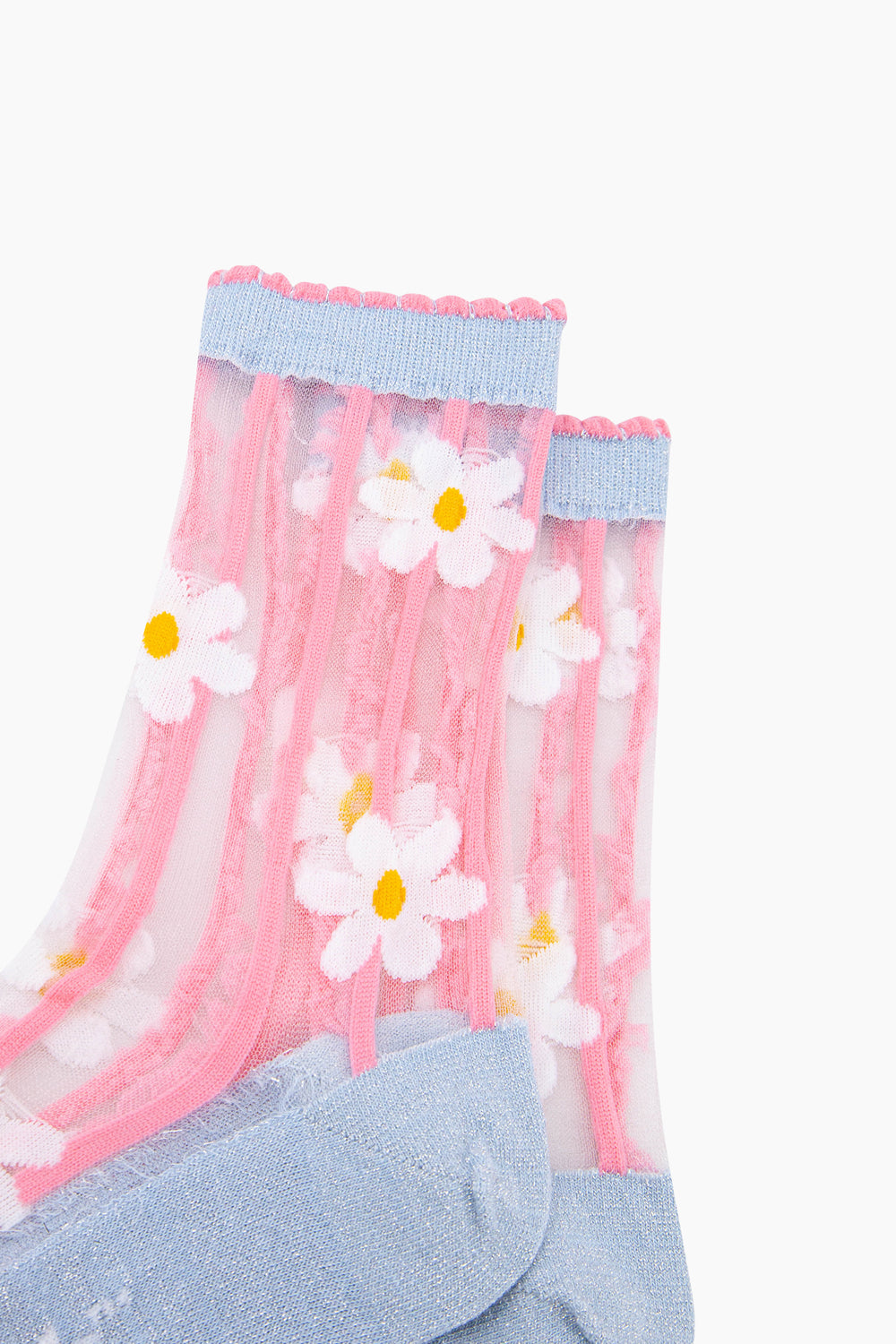 Daisy-Stripes-Combed-Cotton-Sheer-Pop-Socks-in-Blue/Pink-Closeup