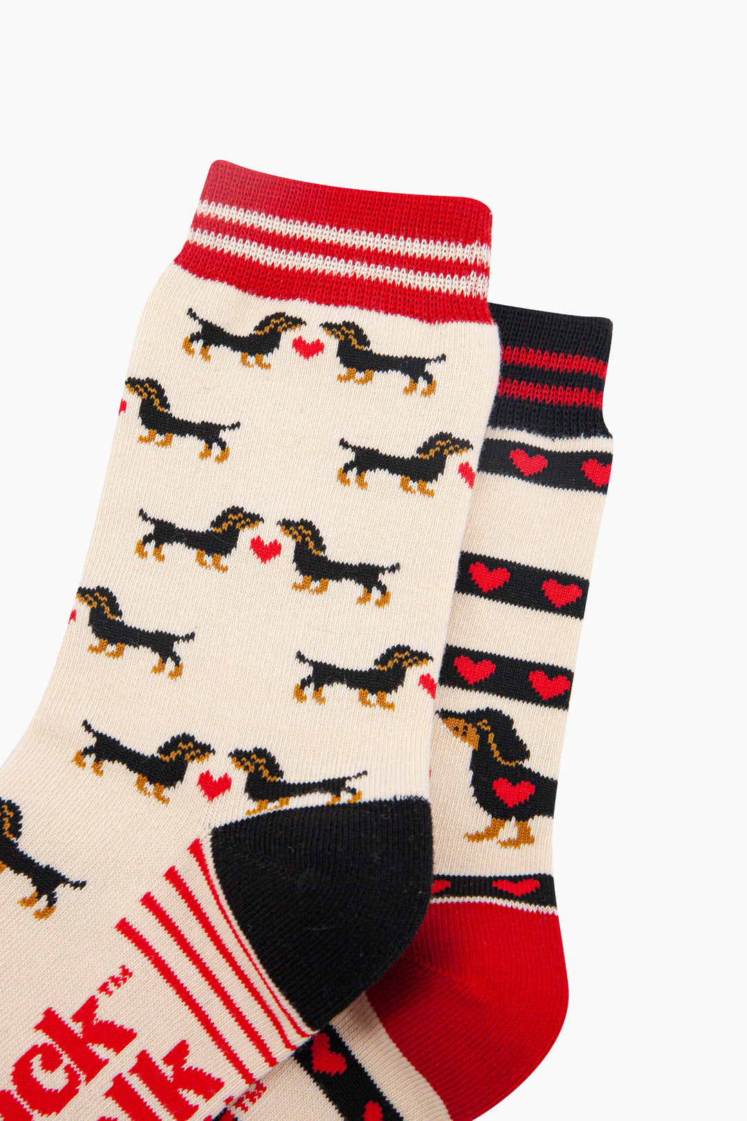 Sausage-Dogs-Hearts-Combed-Cotton-Odd-Socks-in-Cream-Closeup