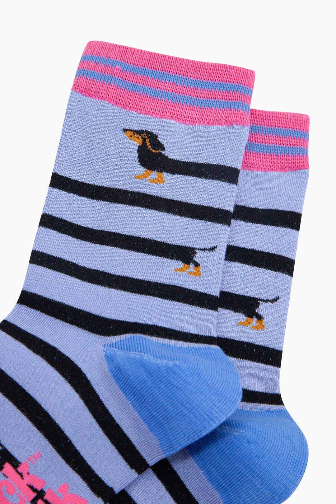 Winding-Sausage-Dog-Bamboo-Socks-in-Blue-Close-Up