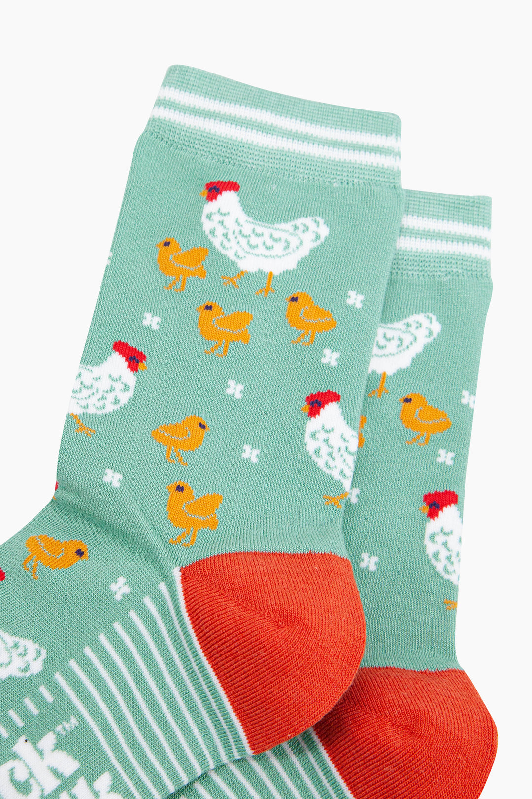 Hens-and-Chicks-Bamboo-Socks-in-Green-Close-Up