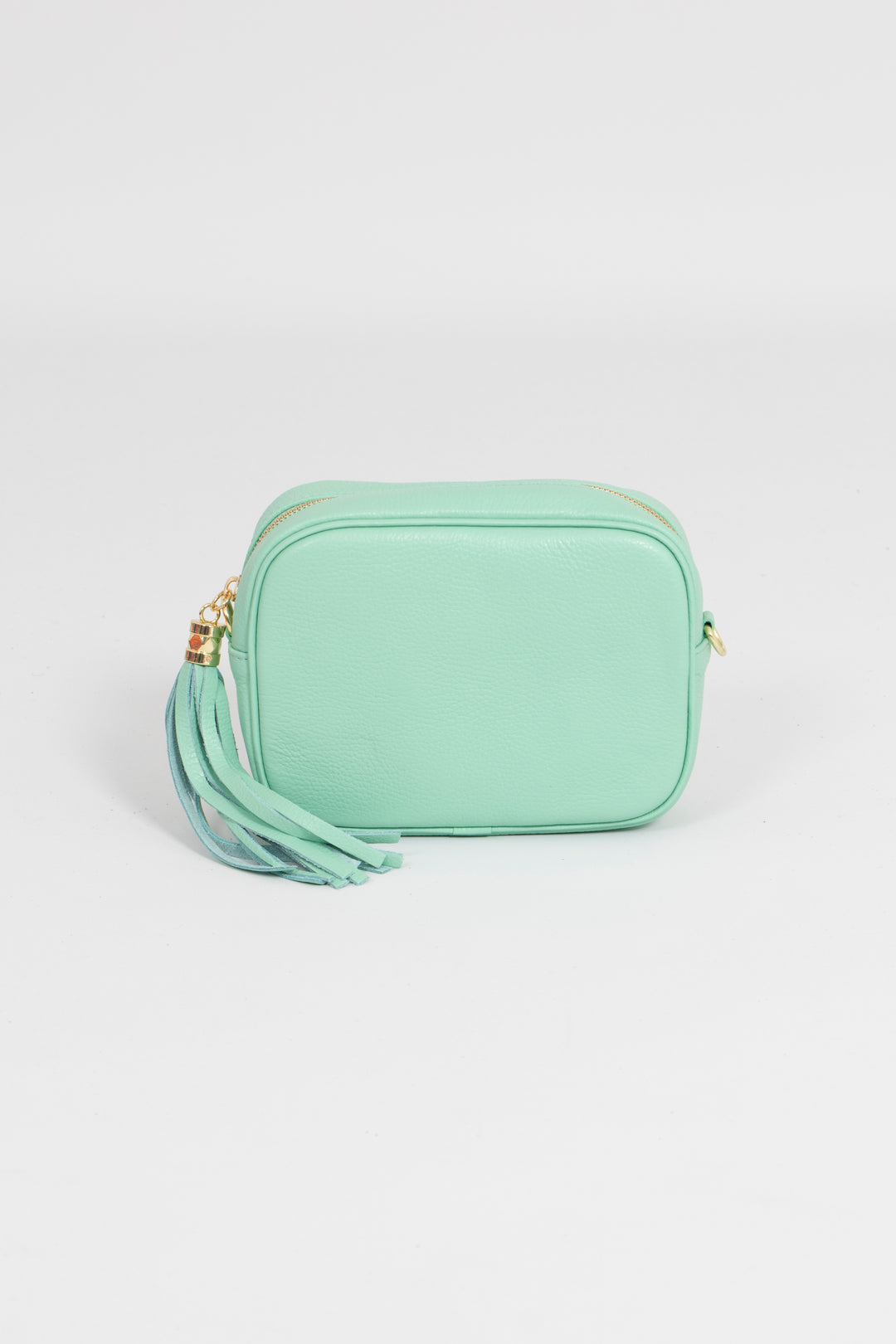 mint crossbody camera bag with a detachable adjustable clip on bag strap, gold hardware and decorative tassel