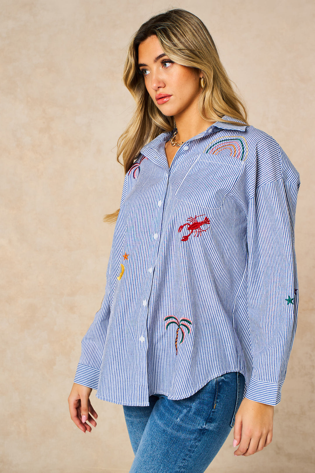 Embroidered Striped Long Sleeve Cotton Shirt in Blue
