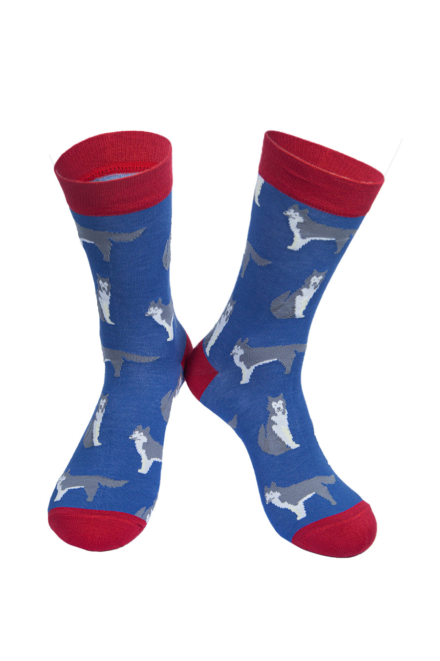 blue socks with a red heel, toe and cuff with an all over pattern of husky dogs