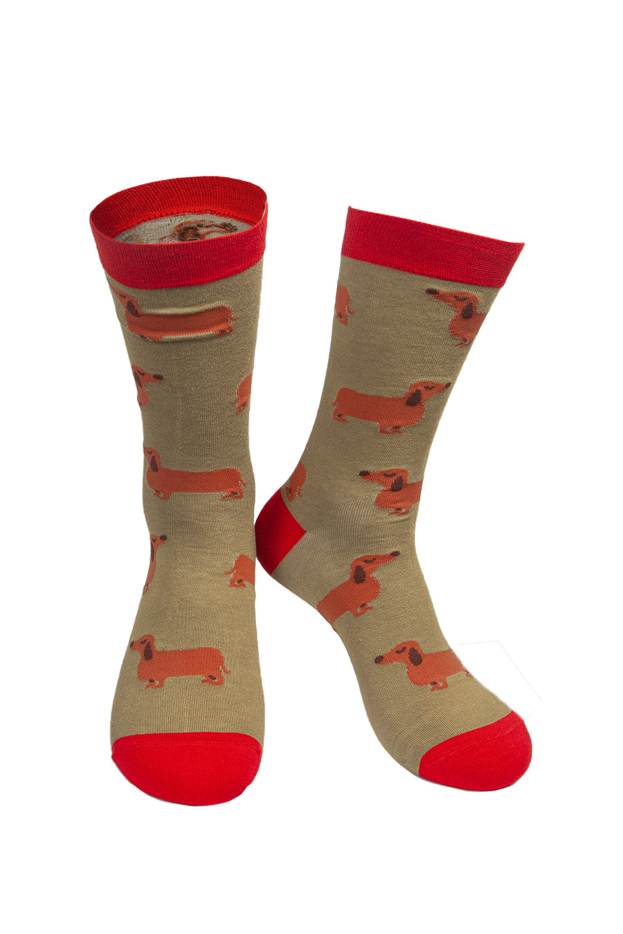 mustard yellow socks with a red heel, toe and cuff with an all over sausage dog pattern