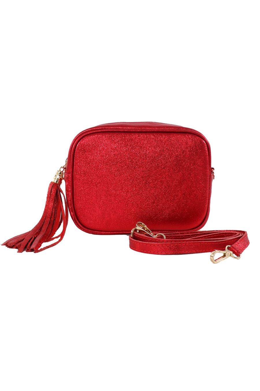 Metallic Scarlet Italian Leather Camera Bag